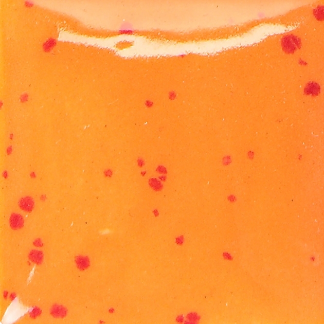 CN515 斑點霓虹橘 1