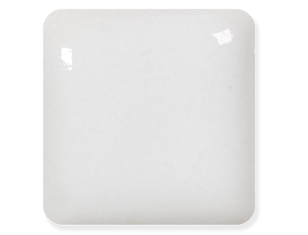 WC‑509 ​魚肚白