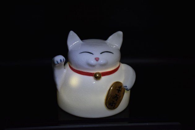 日本 信樂 JPC103 超幼細透光白瓷 (5kg) 1