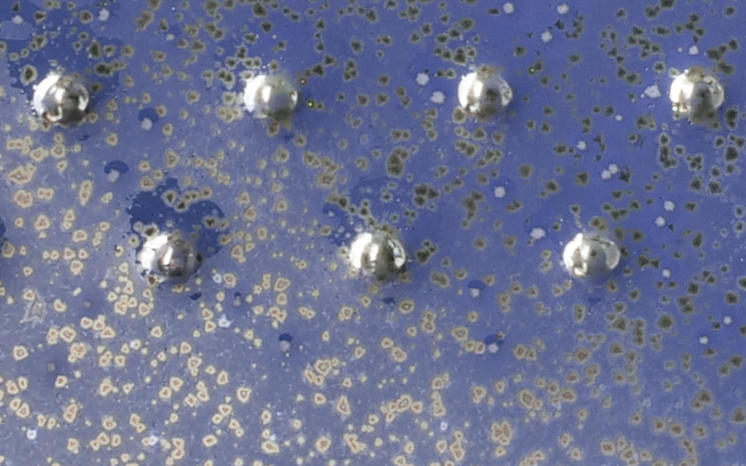 Amaco Potter's Choice - PC-11  Blue Spark皇家金屬藍(16oz) 1