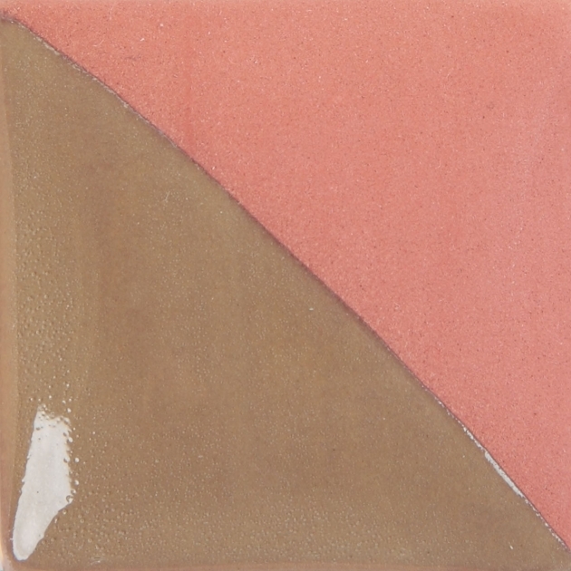 CC181 ​印度暖秋 1