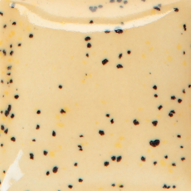 CN523 斑點薑色 1