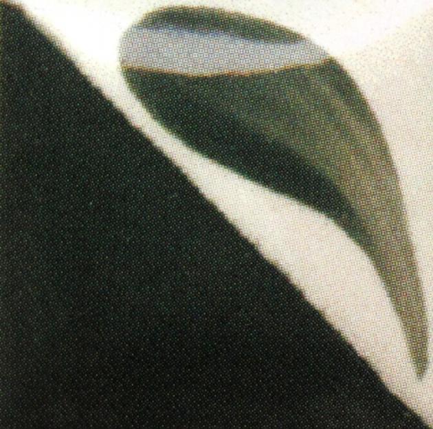 CN163 深冬青色 1