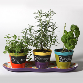 Mayco - SG-101 Chalkboard Glaze  黑板釉 (4oz) 2