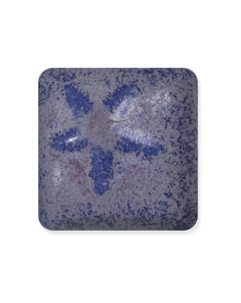 MS‑262 銀河藍紫1/19到貨後出貨