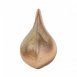 MAYCO Stoneware Classic Glaze - SW-250 White Opal - 亮白石 (16oz)